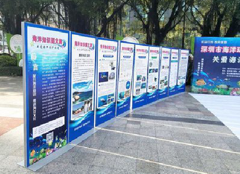 松滋KT板的种类和知识。